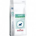ROYAL VCN PEDIATRIC JUNIOR SMALL DOG 2 KG